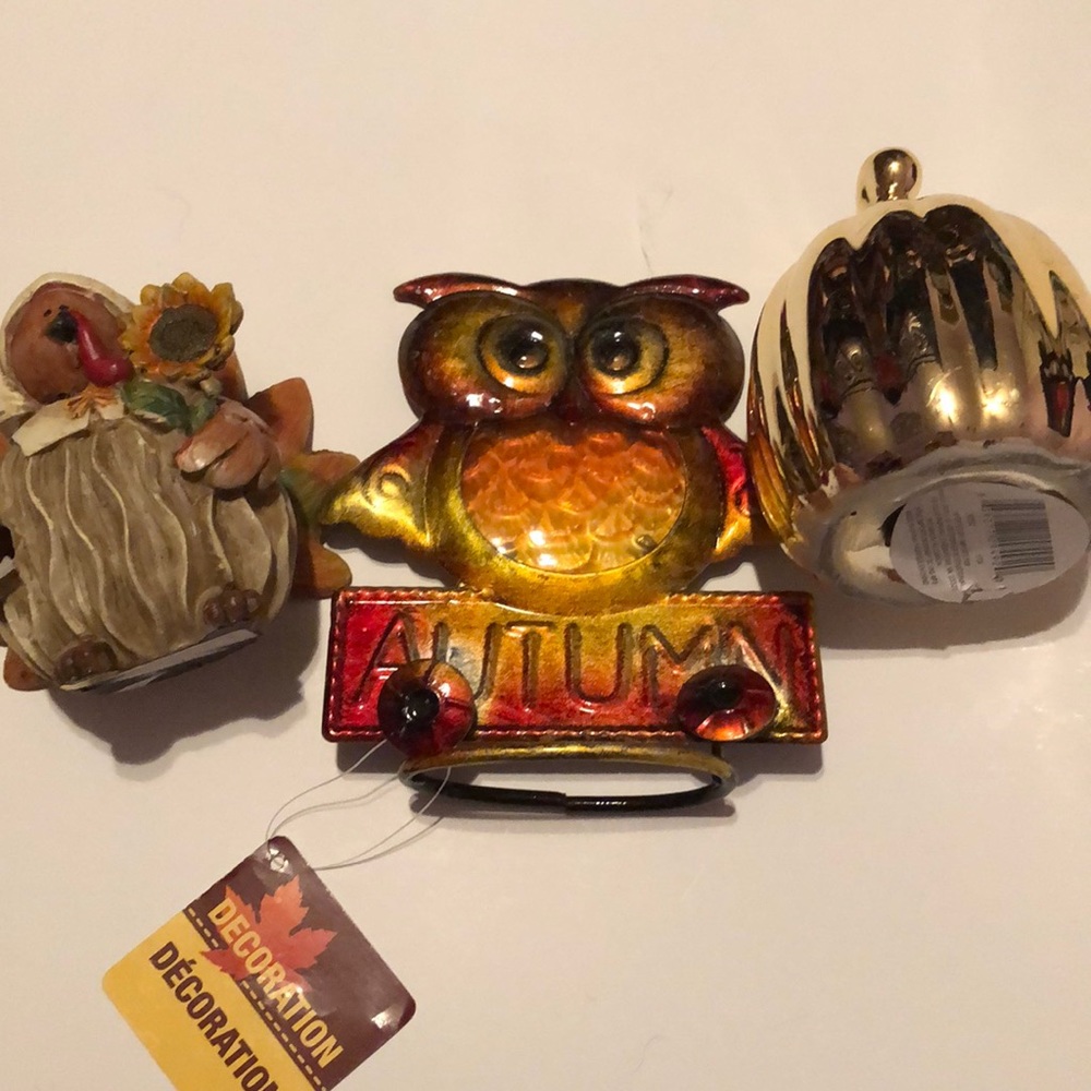 Fall/ Thanksgiving Decorations
